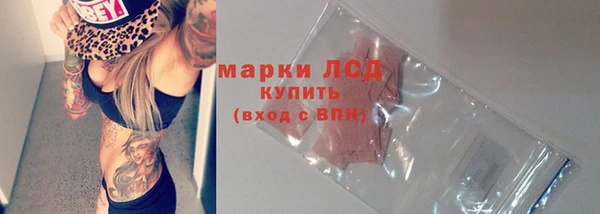 стаф Баксан