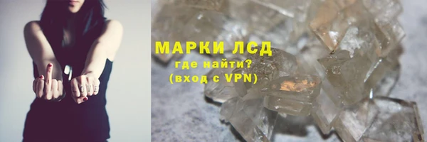 стаф Баксан