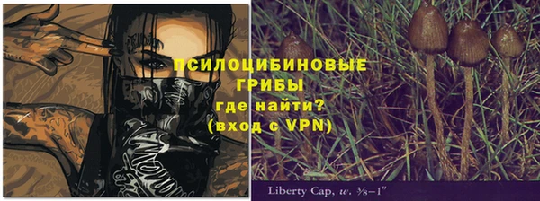 гидропоника Балахна