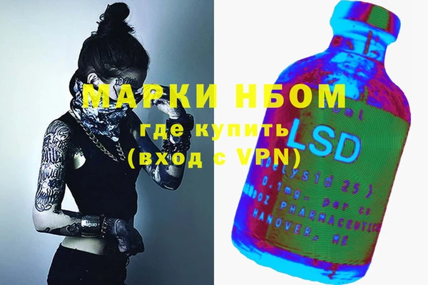 стаф Баксан
