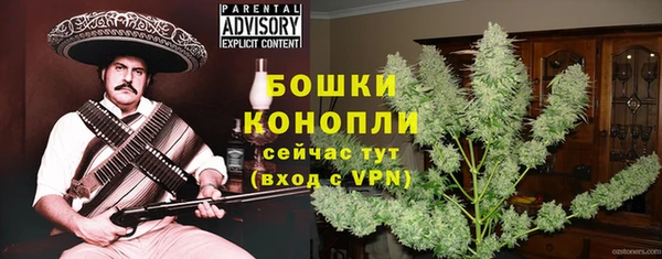 стаф Баксан