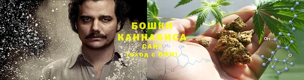 стаф Баксан