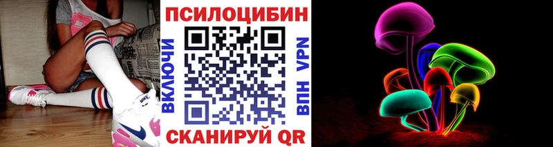 Галлюциногенные грибы Psilocybine cubensis  Корсаков 